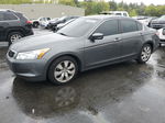 2009 Honda Accord Ex Gray vin: 1HGCP26759A141583