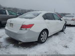 2009 Honda Accord 2.4 Ex White vin: 1HGCP267X9A176765