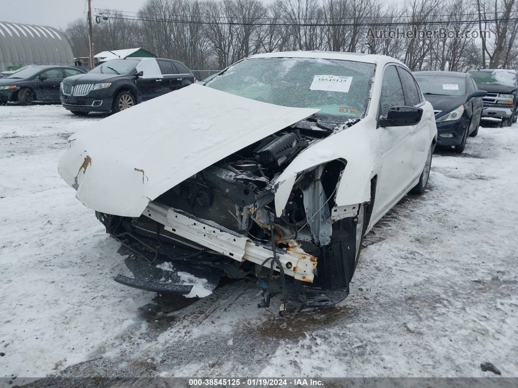 2009 Honda Accord 2.4 Ex White vin: 1HGCP267X9A176765