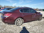 2008 Honda Accord Exl Бордовый vin: 1HGCP26808A036487