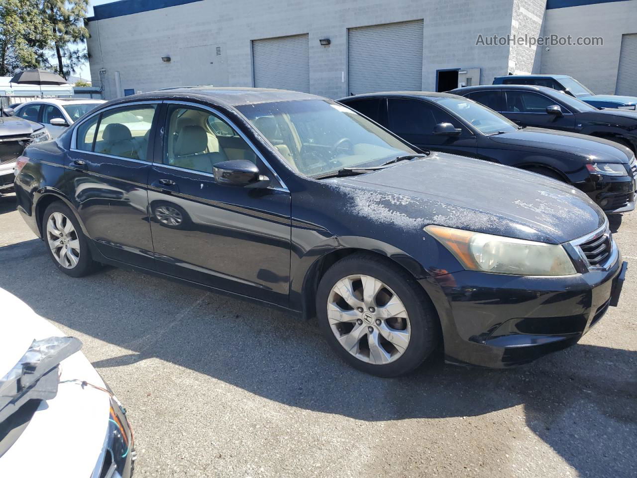 2008 Honda Accord Exl Black vin: 1HGCP26808A097953