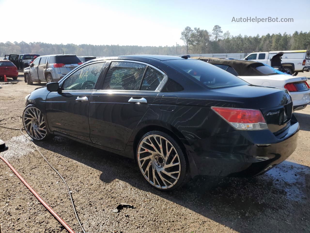 2009 Honda Accord Exl Black vin: 1HGCP26809A058779