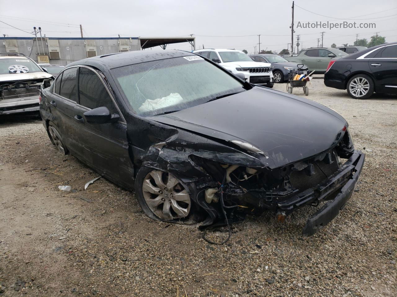 2009 Honda Accord Exl Black vin: 1HGCP26809A097081