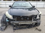 2009 Honda Accord Exl Black vin: 1HGCP26809A117961