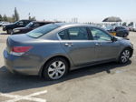 2009 Honda Accord Exl Gray vin: 1HGCP26809A123503