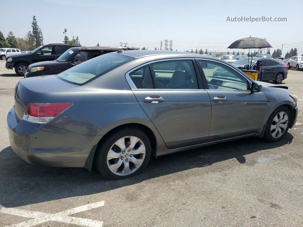 2009 Honda Accord Exl Gray vin: 1HGCP26809A123503