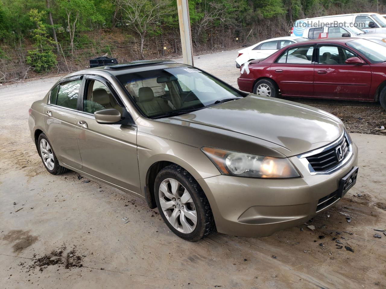 2009 Honda Accord Exl Beige vin: 1HGCP26809A174869