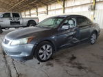 2009 Honda Accord Exl Gray vin: 1HGCP26809A175682