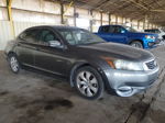 2009 Honda Accord Exl Gray vin: 1HGCP26809A175682