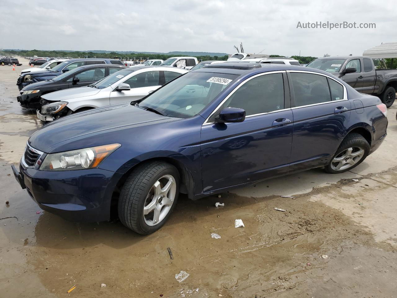 2009 Honda Accord Exl Blue vin: 1HGCP26809A200984