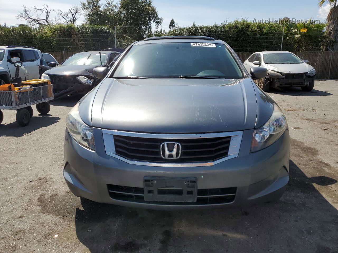 2008 Honda Accord Exl Gray vin: 1HGCP26818A145220