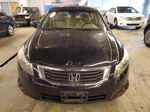 2009 Honda Accord Exl Black vin: 1HGCP26829A062526