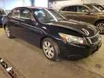 2009 Honda Accord Exl Black vin: 1HGCP26829A062526