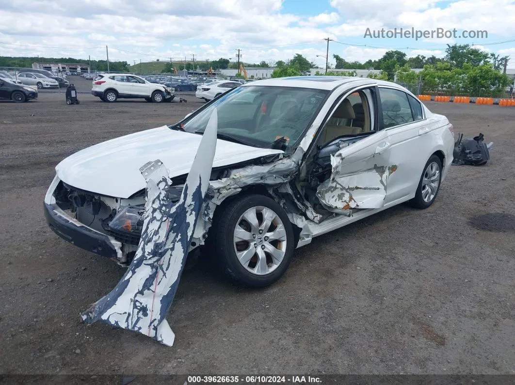 2009 Honda Accord 2.4 Ex-l White vin: 1HGCP26829A088463