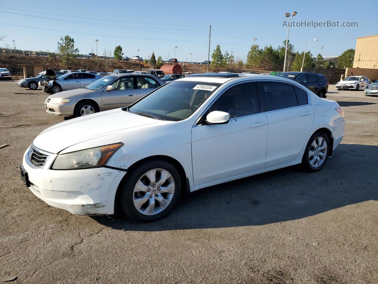 2009 Honda Accord Exl White vin: 1HGCP26829A119064