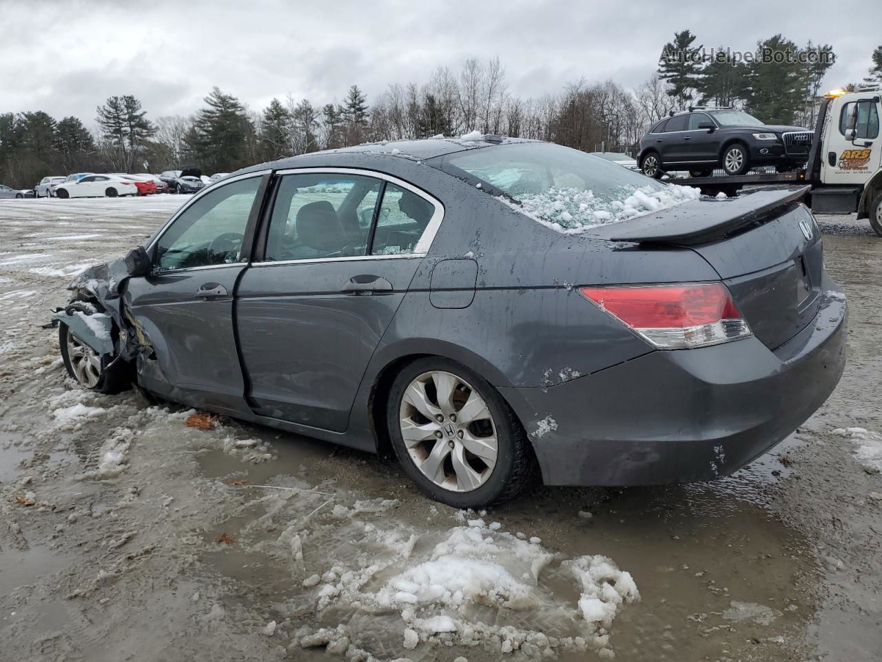 2009 Honda Accord Exl Gray vin: 1HGCP26829A171276