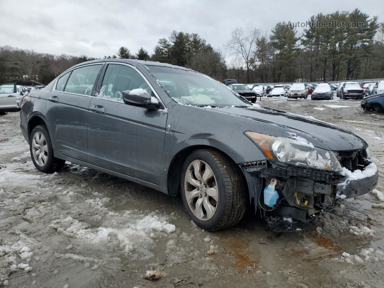 2009 Honda Accord Exl Gray vin: 1HGCP26829A171276