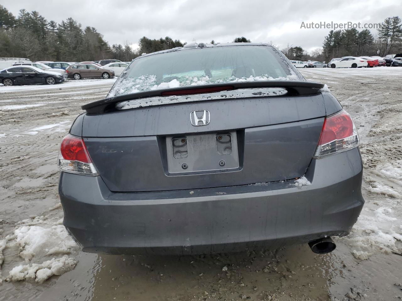 2009 Honda Accord Exl Gray vin: 1HGCP26829A171276