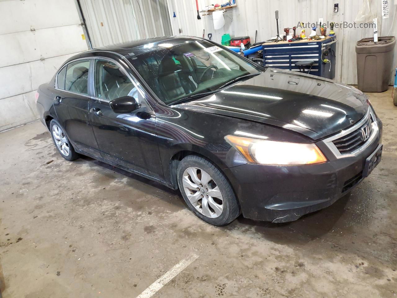 2009 Honda Accord Exl Black vin: 1HGCP26839A013626