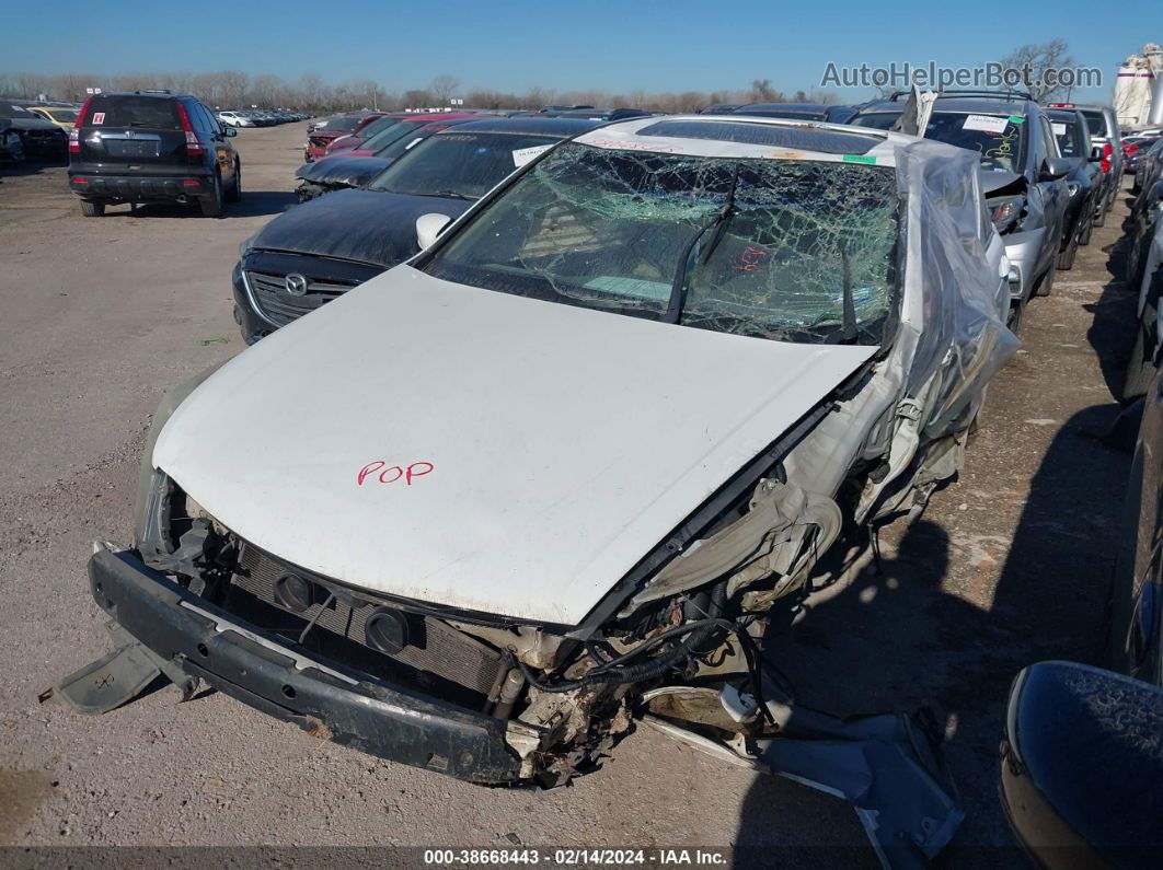 2009 Honda Accord 2.4 Ex-l White vin: 1HGCP26839A153577