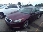 2008 Honda Accord Sdn Ex-l Бордовый vin: 1HGCP26848A060730