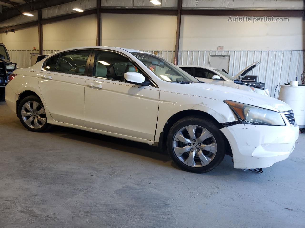 2009 Honda Accord Exl White vin: 1HGCP26849A012307