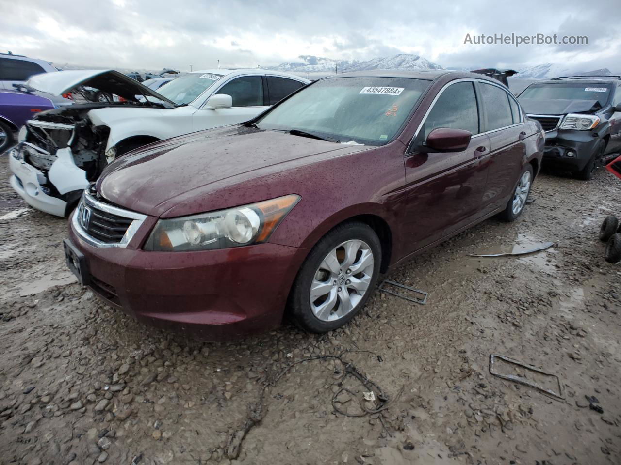 2009 Honda Accord Exl Burgundy vin: 1HGCP26849A064729