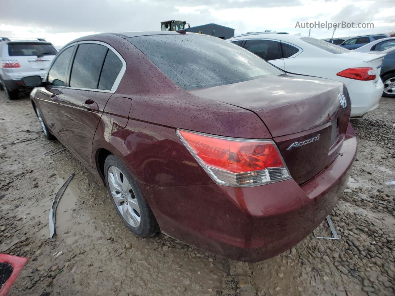 2009 Honda Accord Exl Burgundy vin: 1HGCP26849A064729