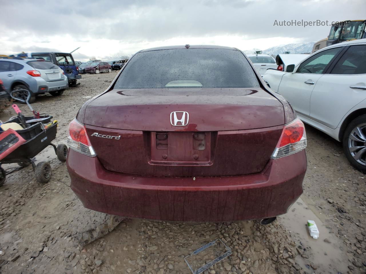 2009 Honda Accord Exl Burgundy vin: 1HGCP26849A064729