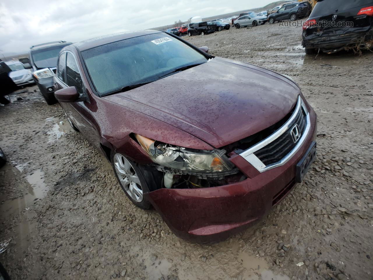 2009 Honda Accord Exl Burgundy vin: 1HGCP26849A064729