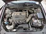 2009 Honda Accord Exl Бордовый vin: 1HGCP26849A064729