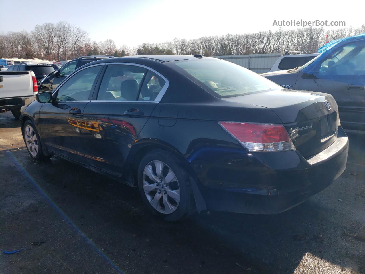 2009 Honda Accord Exl Black vin: 1HGCP26849A076590