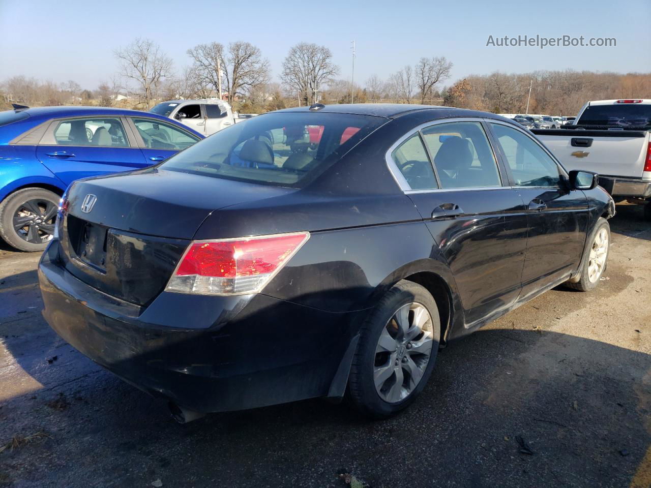 2009 Honda Accord Exl Black vin: 1HGCP26849A076590