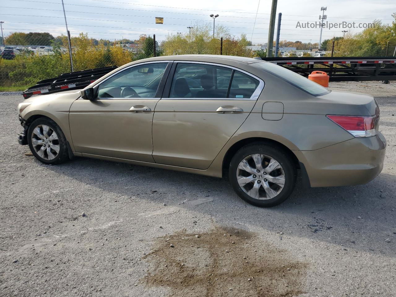 2009 Honda Accord Exl Золотой vin: 1HGCP26849A121480