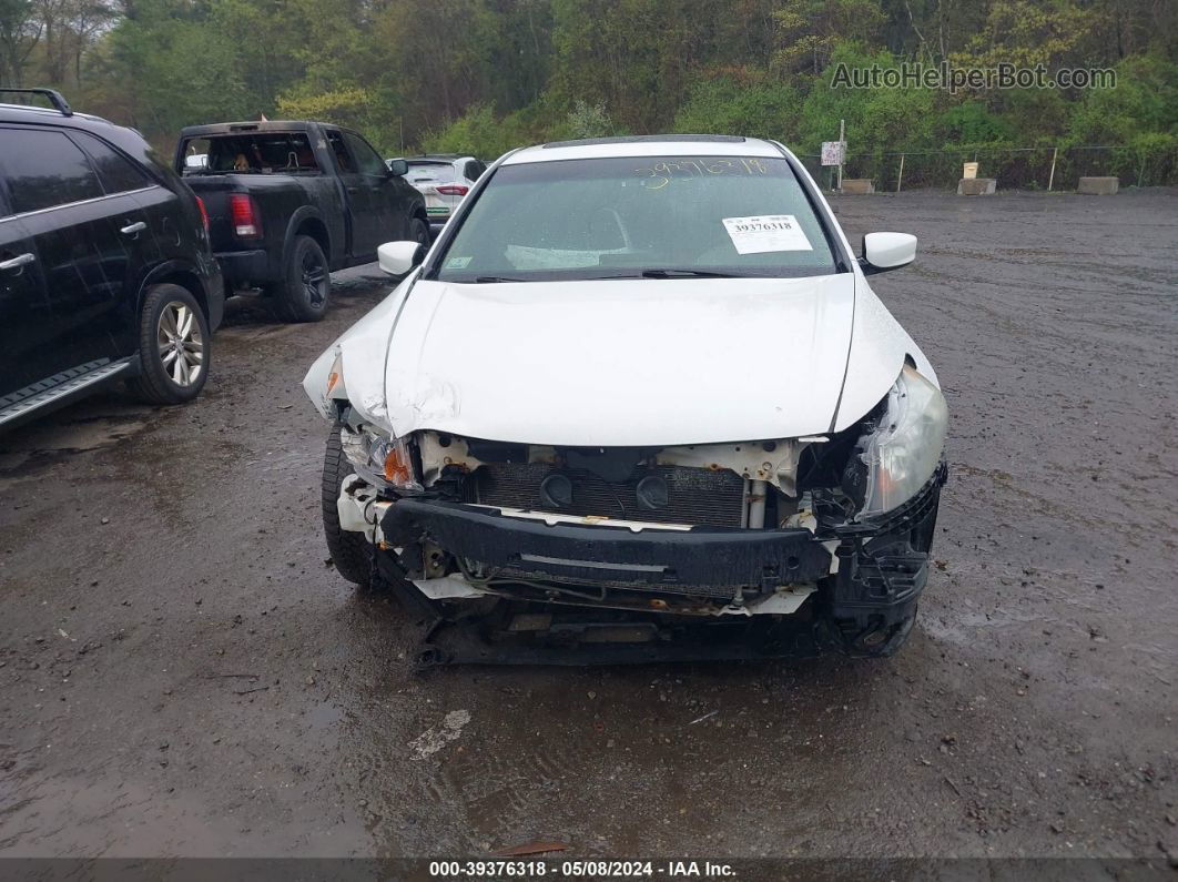 2009 Honda Accord 2.4 Ex-l White vin: 1HGCP26849A129014