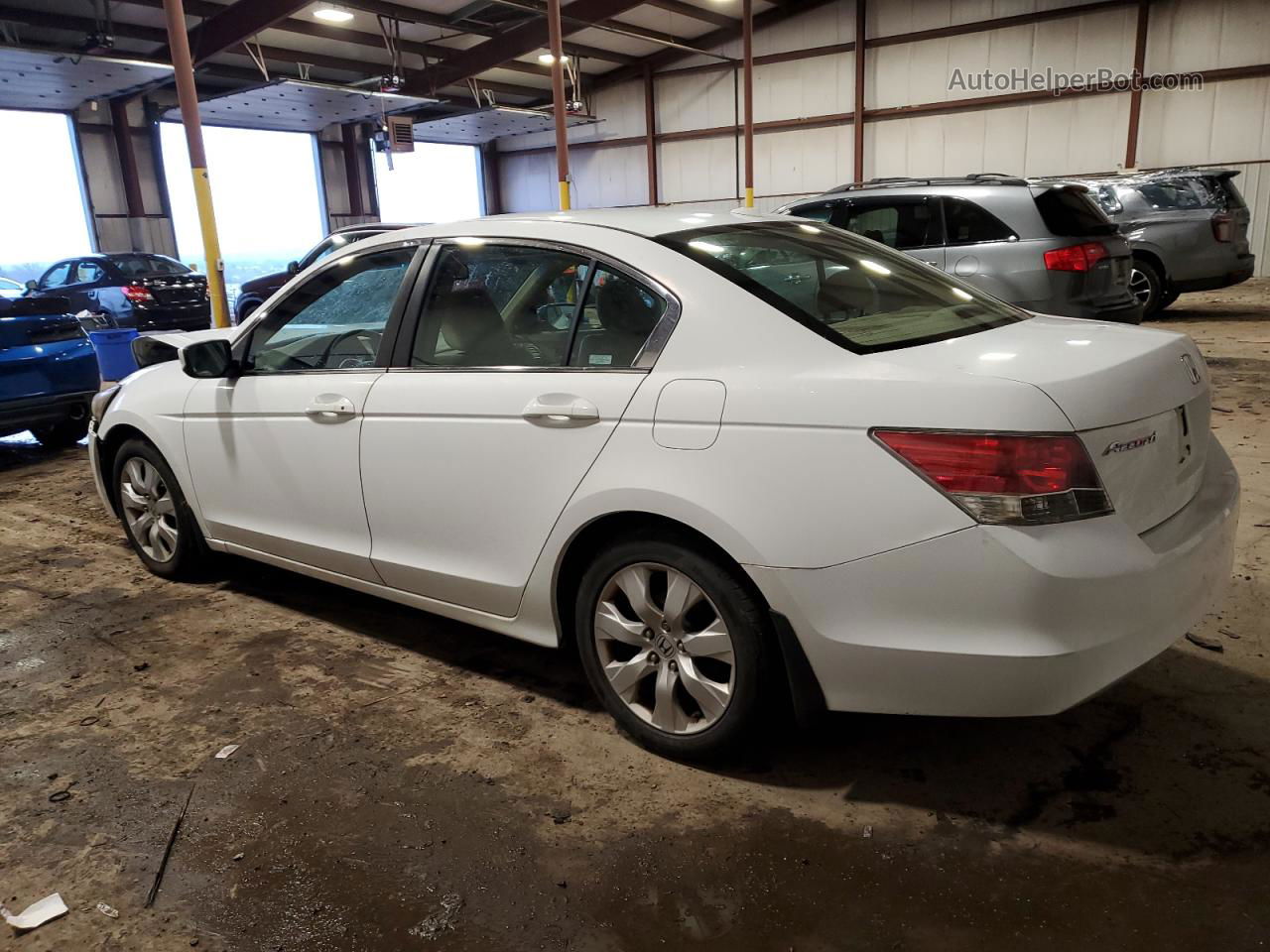 2009 Honda Accord Exl White vin: 1HGCP26849A191562