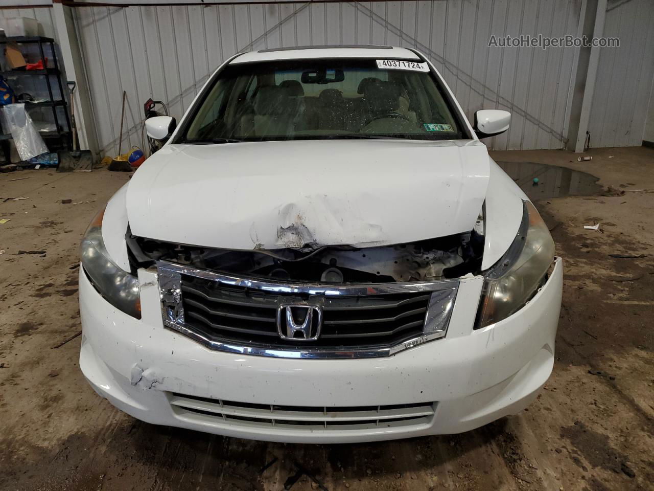 2009 Honda Accord Exl White vin: 1HGCP26849A191562