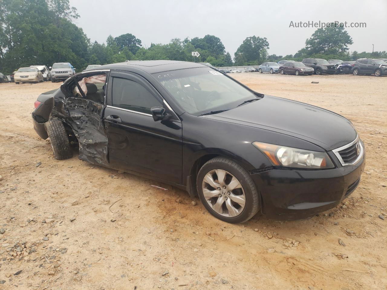 2009 Honda Accord Exl Черный vin: 1HGCP26859A010100