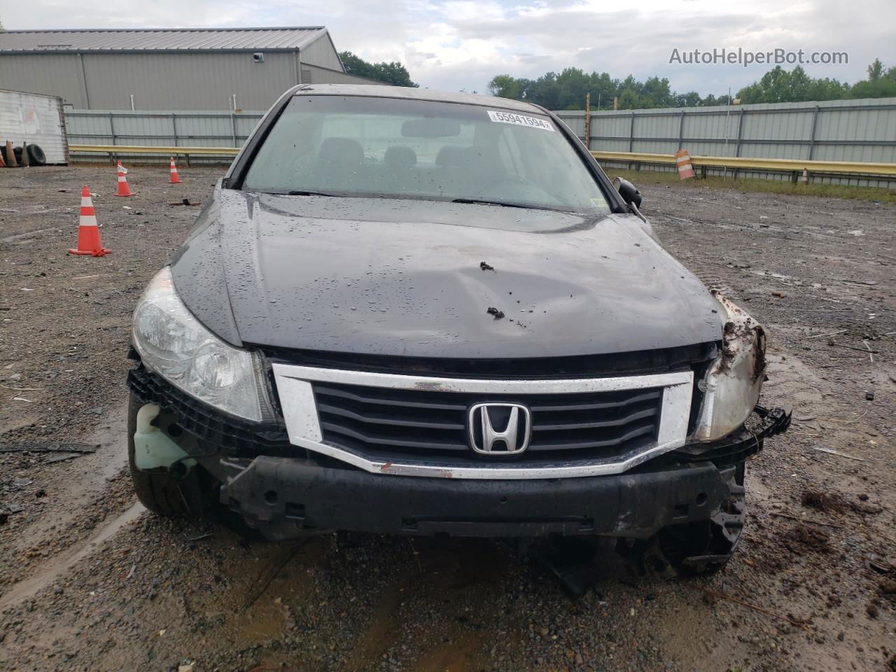 2009 Honda Accord Exl Gray vin: 1HGCP26859A071656