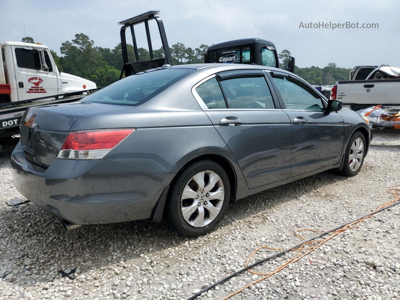 2009 Honda Accord Exl Gray vin: 1HGCP26859A097819