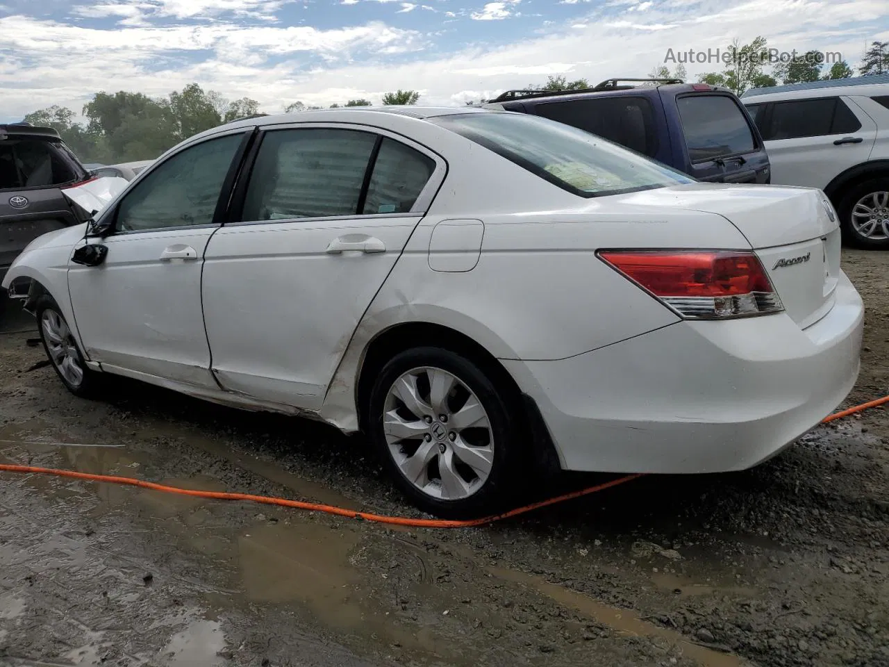 2009 Honda Accord Exl White vin: 1HGCP26859A112125