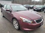 2009 Honda Accord Exl Темно-бордовый vin: 1HGCP26859A132911