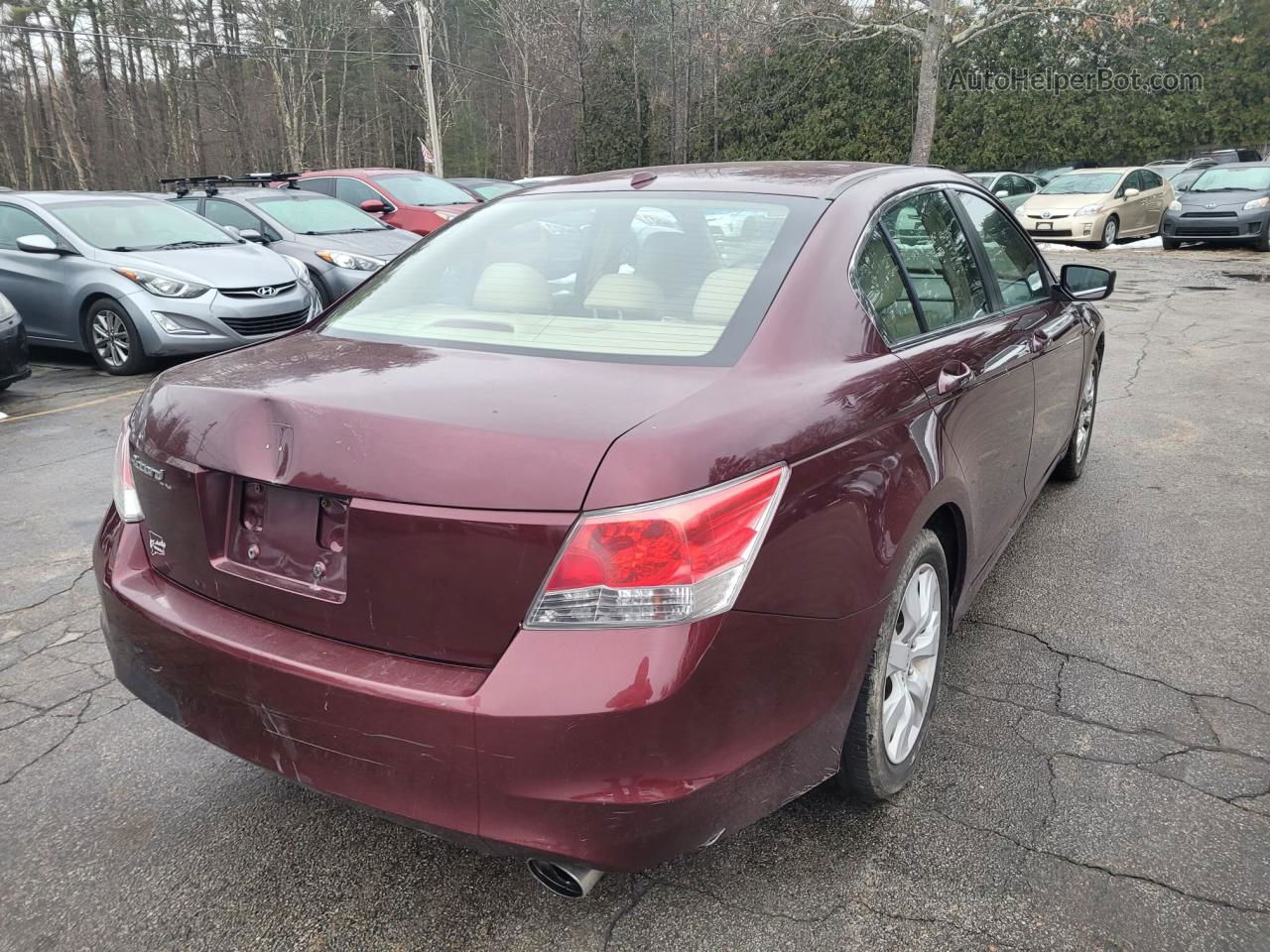 2009 Honda Accord Exl Maroon vin: 1HGCP26859A132911