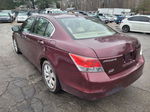 2009 Honda Accord Exl Maroon vin: 1HGCP26859A132911