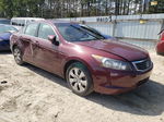 2008 Honda Accord Exl Бордовый vin: 1HGCP26868A119034