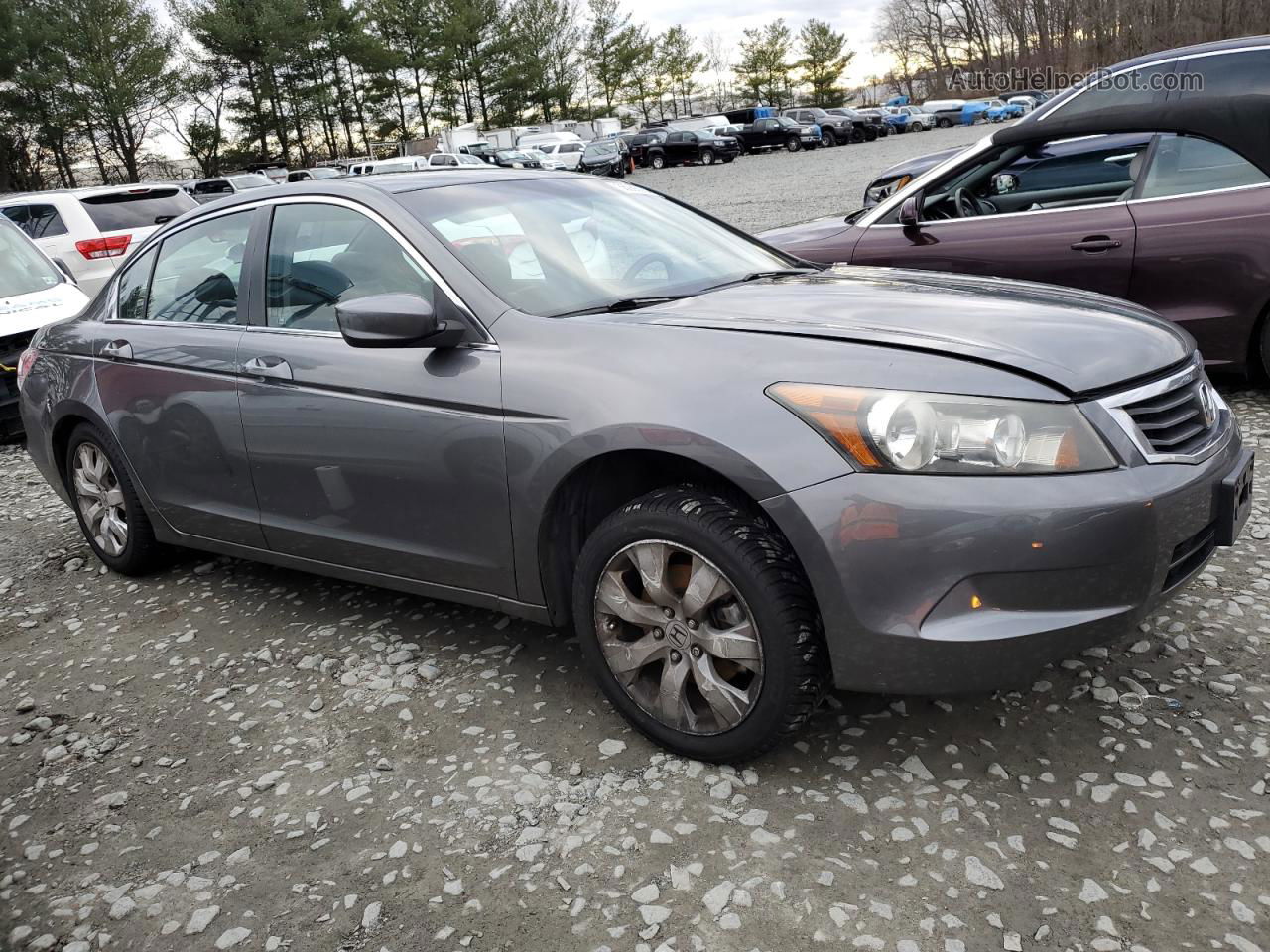 2009 Honda Accord Exl Серый vin: 1HGCP26869A051271