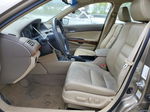 2009 Honda Accord Exl Tan vin: 1HGCP26869A182569