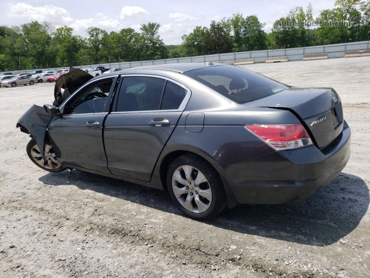 2009 Honda Accord Exl Gray vin: 1HGCP26879A072937