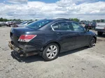 2008 Honda Accord Exl Black vin: 1HGCP26888A012714