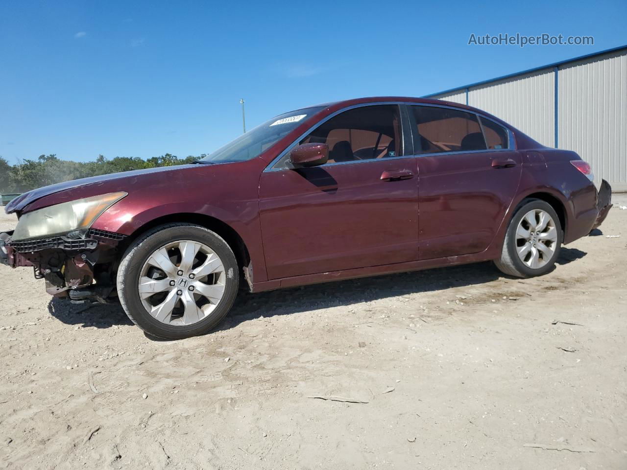 2009 Honda Accord Exl Burgundy vin: 1HGCP26889A168236